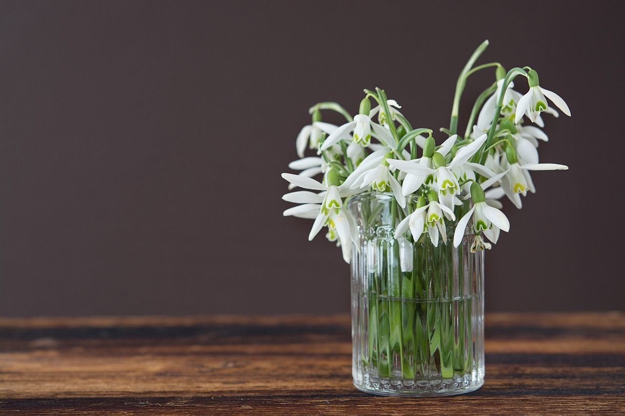 cut flowers in vase on counter